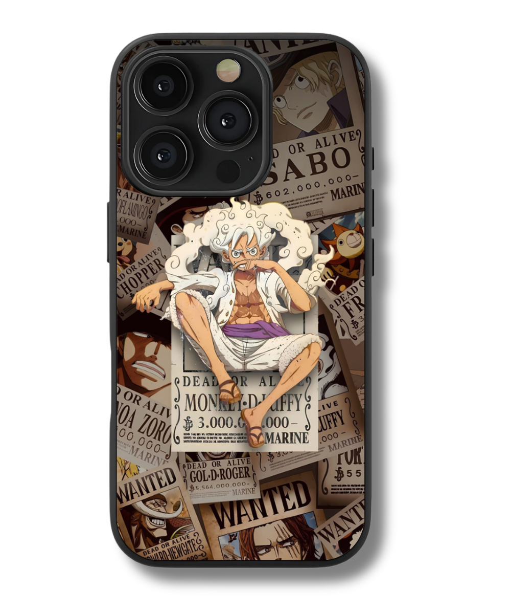 Monkey D. Luffy Case
