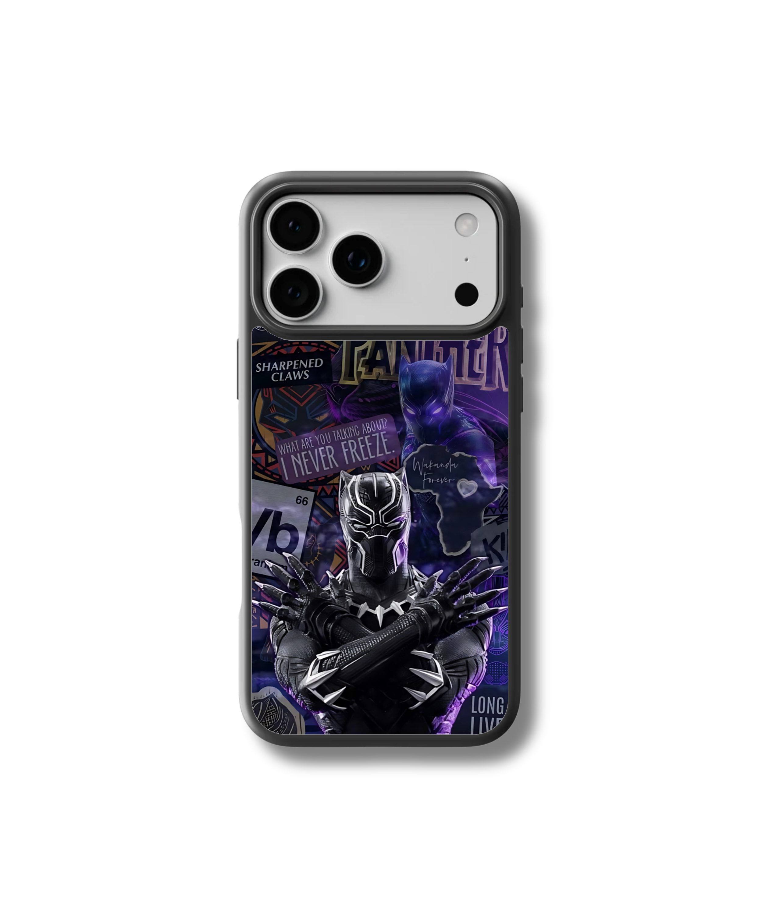 Black Panther Glass Case